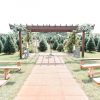 Silk Flower Arch -A - Image 5