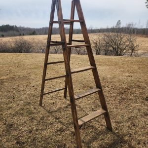Wooden Antique Ladder