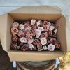 Silk Rose Flowers - B - Image 2