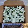 Silk Rose Flowers - C - Image 2
