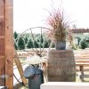 Antique Iron Wagon Wheels - Image 2