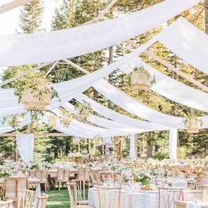 WHITE CHIFFON CEILING DRAPING F-30'
